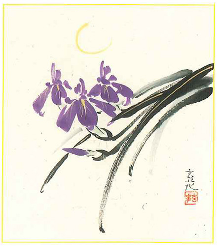 色紙　今井玄花　菖蒲 【直筆作品】
