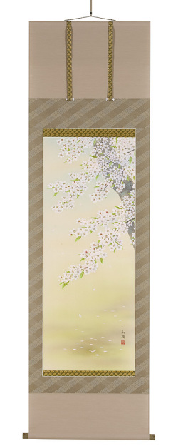桜　橋谷和樹（直筆）　掛軸（掛け軸）