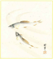 色紙　尾上晩翠　鮎 【直筆作品】