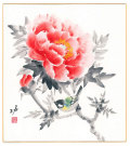 牡丹　秋田　功【直筆作品】