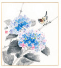 紫陽花　秋田　功【直筆作品】