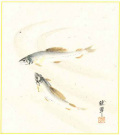 色紙　尾上晩翠　鮎 【直筆作品】