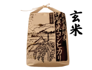 伊賀米コシヒカリ玄米3kg（2025年度産）　【特別栽培米】