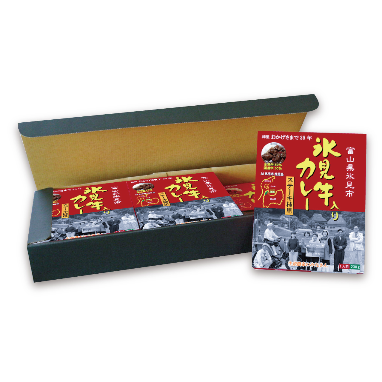 氷見牛入りカレー6箱セット