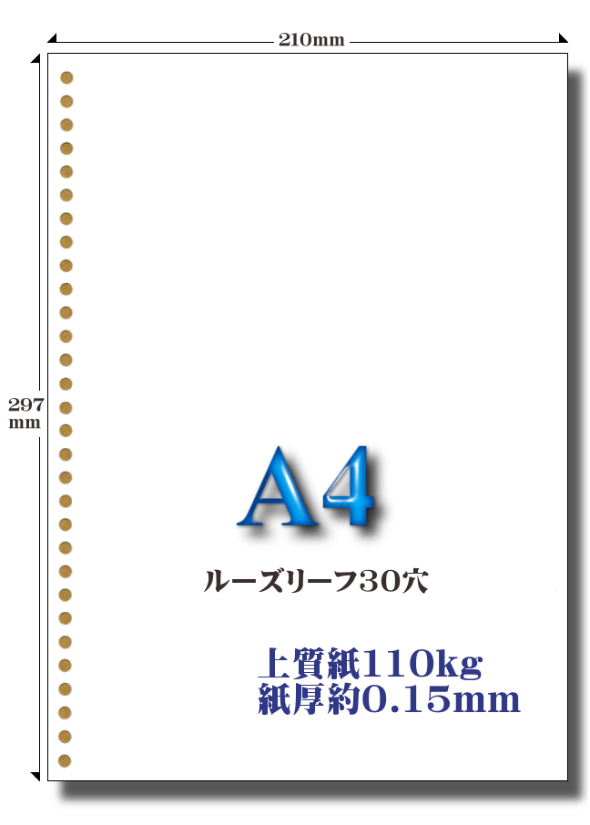 110ｋｇ ３０穴用紙