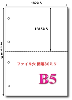 B5 マイクロミシン目入り 2分割4穴
