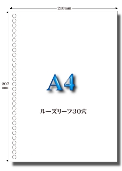 A4 30穴白紙 用紙 （500枚×10冊）5，000枚 加工直販.com