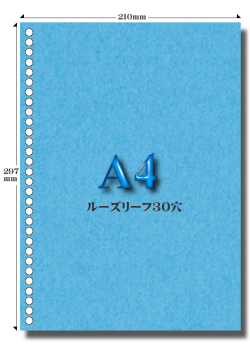 A4 マルチカラー 30穴（ルーズリーフ）用紙 500枚 加工直販.com