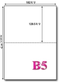 B5 マイクロミシン目入り 2分割