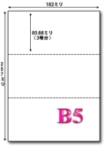 B5 マイクロミシン目入り 3分割