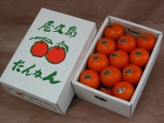 屋久島たんかんL3kg