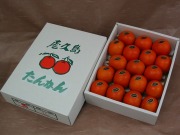 屋久島たんかんLL3kg