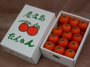 屋久島たんかんM3kg