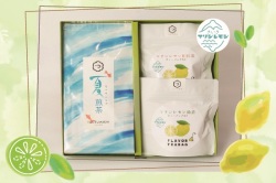 夏煎茶＆マリンレモン緑茶・和紅茶ティーバッグギフト