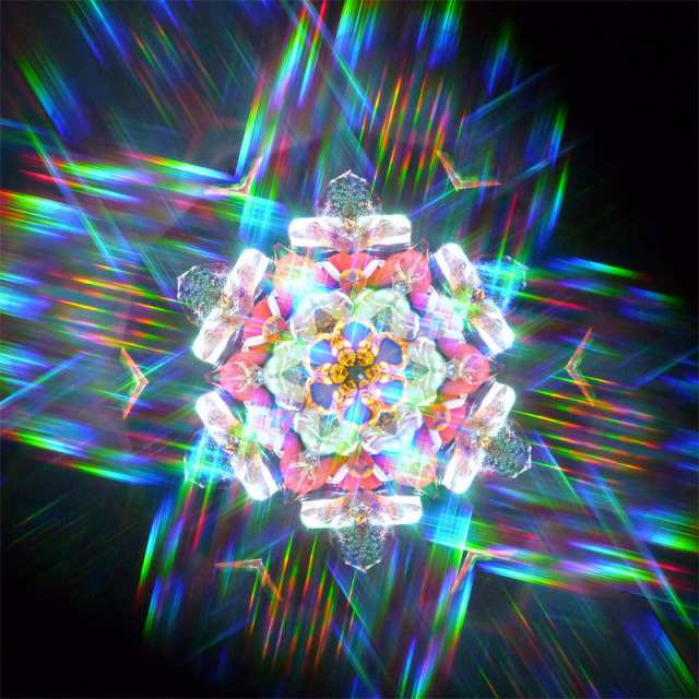 インテグレーション