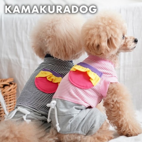 カラフルポケットつなぎ