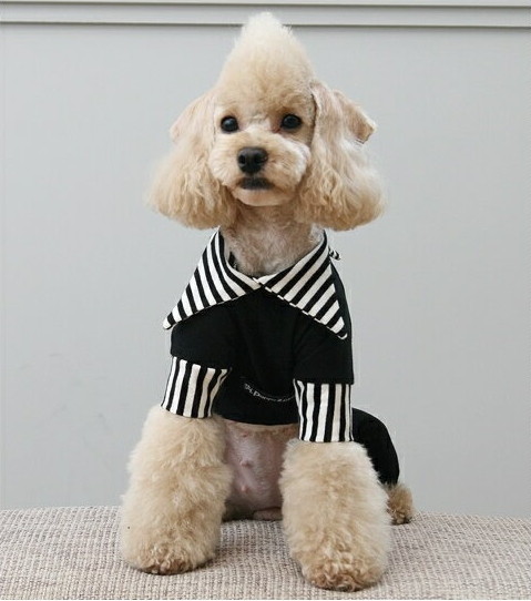 ベルト付きつなぎ＆ワンピース