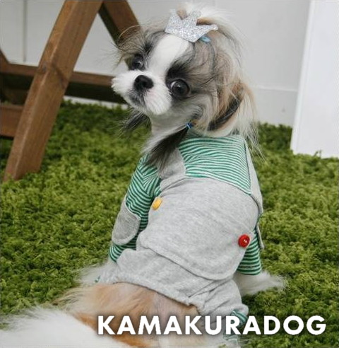 ４ポケットつなぎ