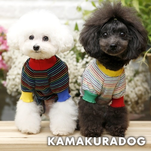 パグちゃんつなぎ