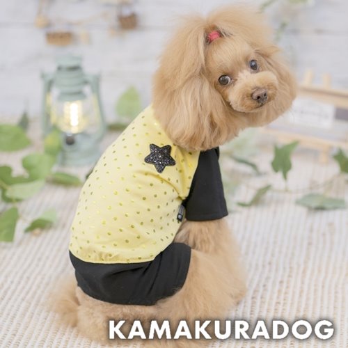 ラメ＆ラメつなぎ