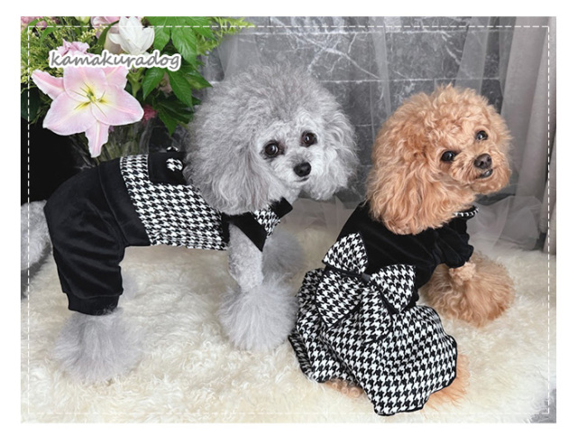 a214ra5.jpg?t=20240926134137