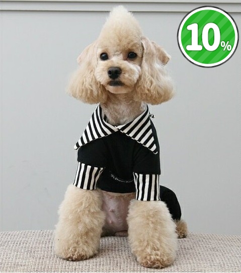 INAMORADA わんちゃんお洋服　犬服　ベロア　 XSサイズ so-112_coordinate01.jpg