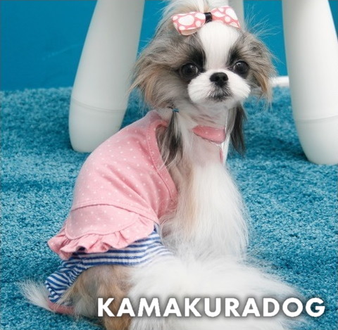 * vintage dog ❀ さくら色の キュートな ワンちゃん Doggy Box | ワンちゃんのためのワクワク定期便(202507MM)