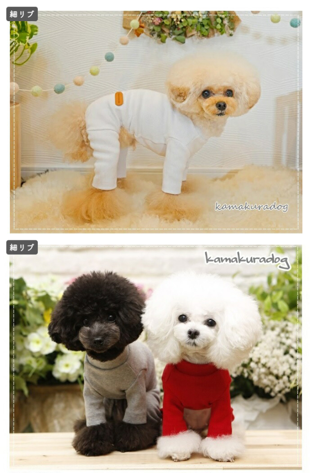 小物 user_e4be63d1 T_-001_2b150e95-dc09-46d2-a81d