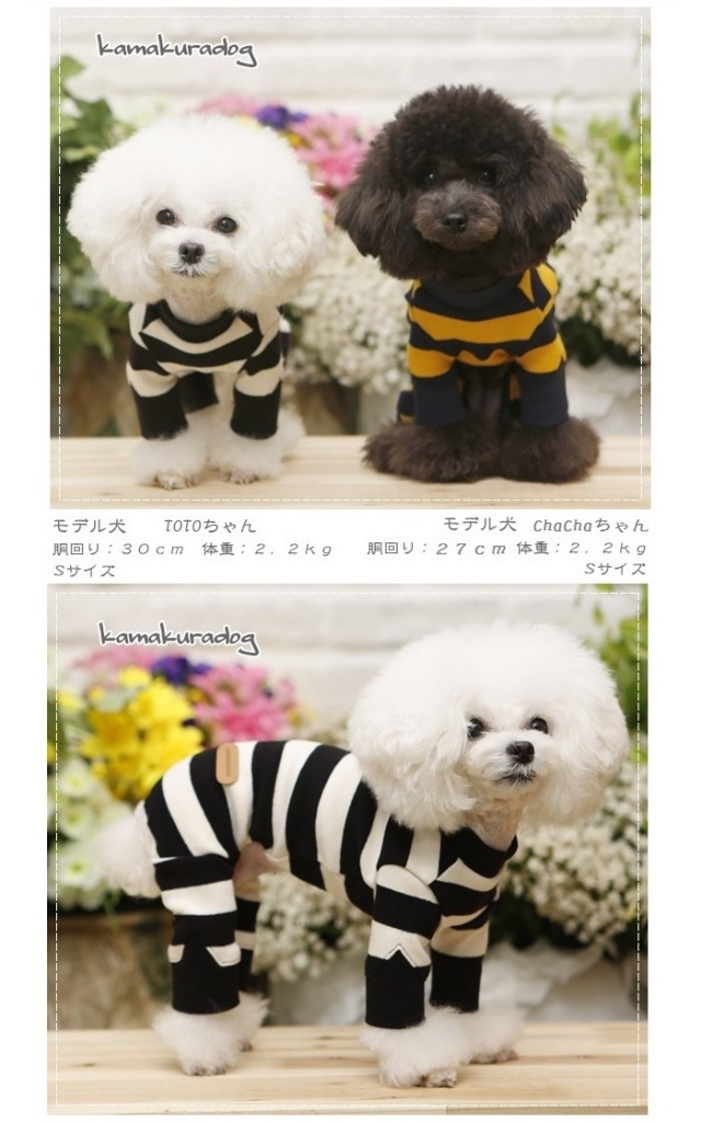 可愛い小型犬洋服通販 鎌倉DOG