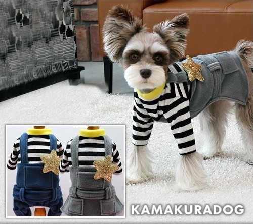 可愛い小型犬 洋服通販 冬用