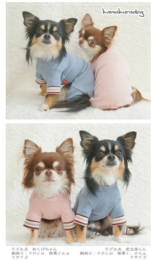 可愛い小型犬洋服通販 鎌倉DOG