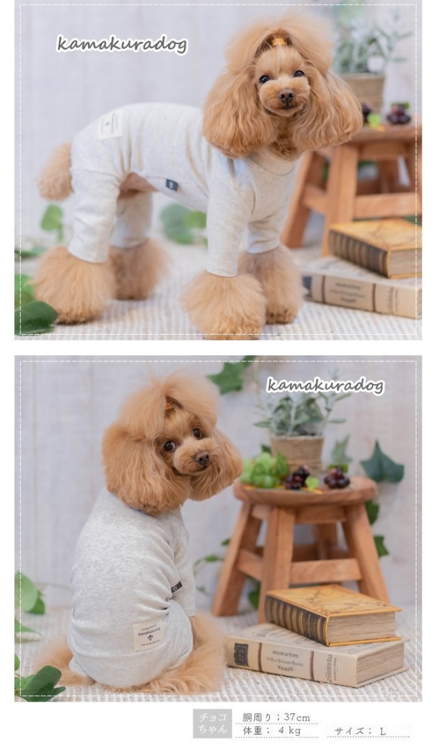 可愛い小型犬の洋服通販 鎌倉ドッグ