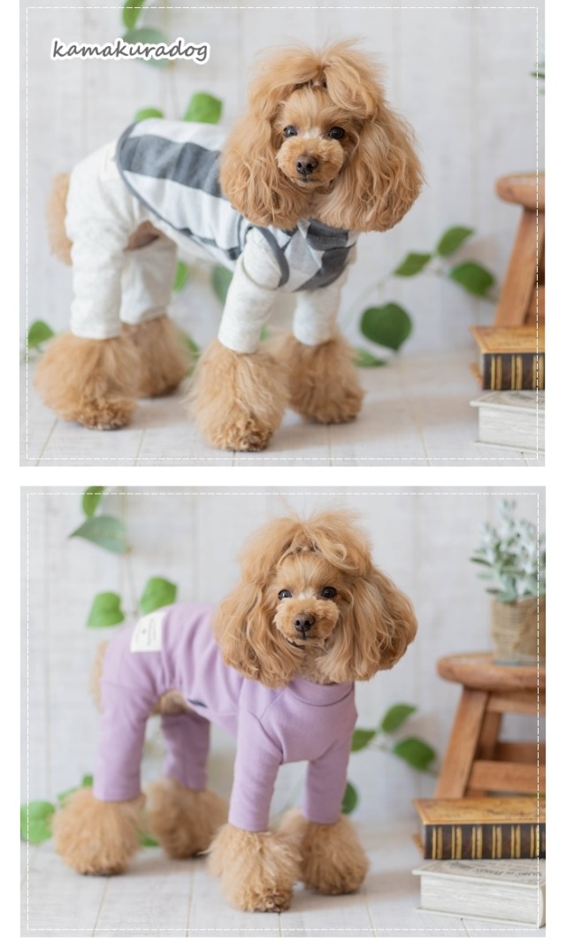 可愛い小型犬の洋服通販 鎌倉ドッグ