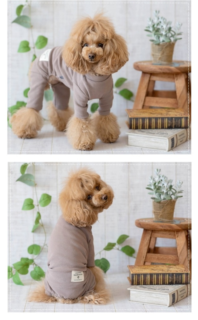 くーさま専用☺︎わんこふく　犬服 a349t2.jpg