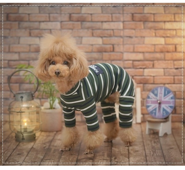 可愛い小型犬の洋服通販 鎌倉ドッグ