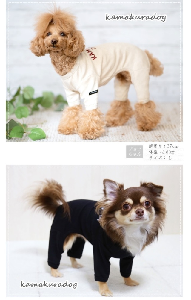 夏季値下げ/愛犬家の方～稀有なデザイン・ドルチェ＆ガッバーナ　レディースブラウス 夏季値下げ/愛犬家の方～稀有なデザイン・ドルチェ＆ガッバーナ