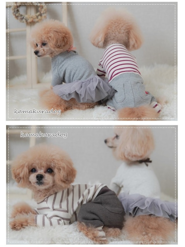 可愛い小型犬の洋服通販 鎌倉ドッグ