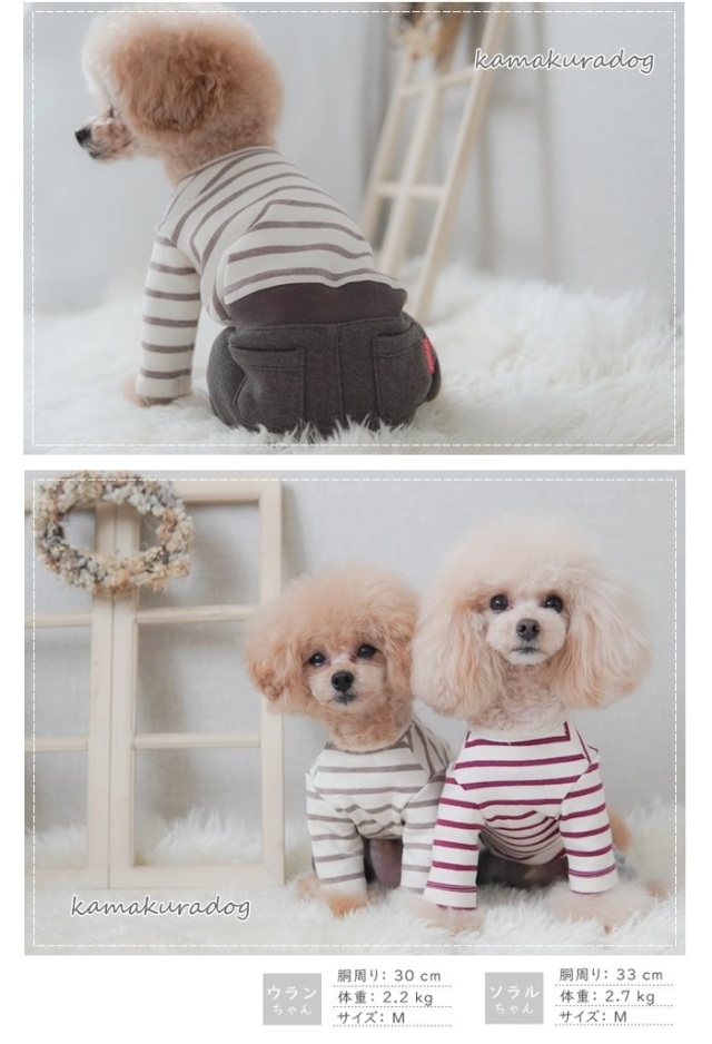 【茶色い犬】 u0i1c7.jpg