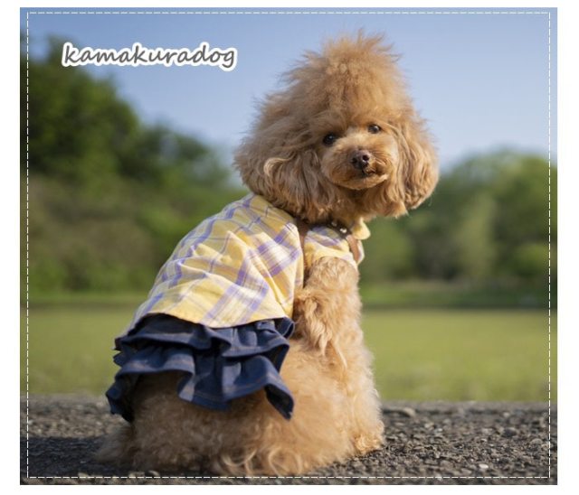 a340n4.jpg?t=20241224153456