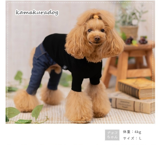 a340n5.jpg?t=20241224153503