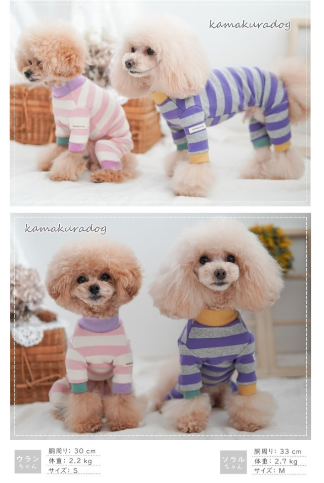 可愛い小型犬の洋服通販 鎌倉ドッグ