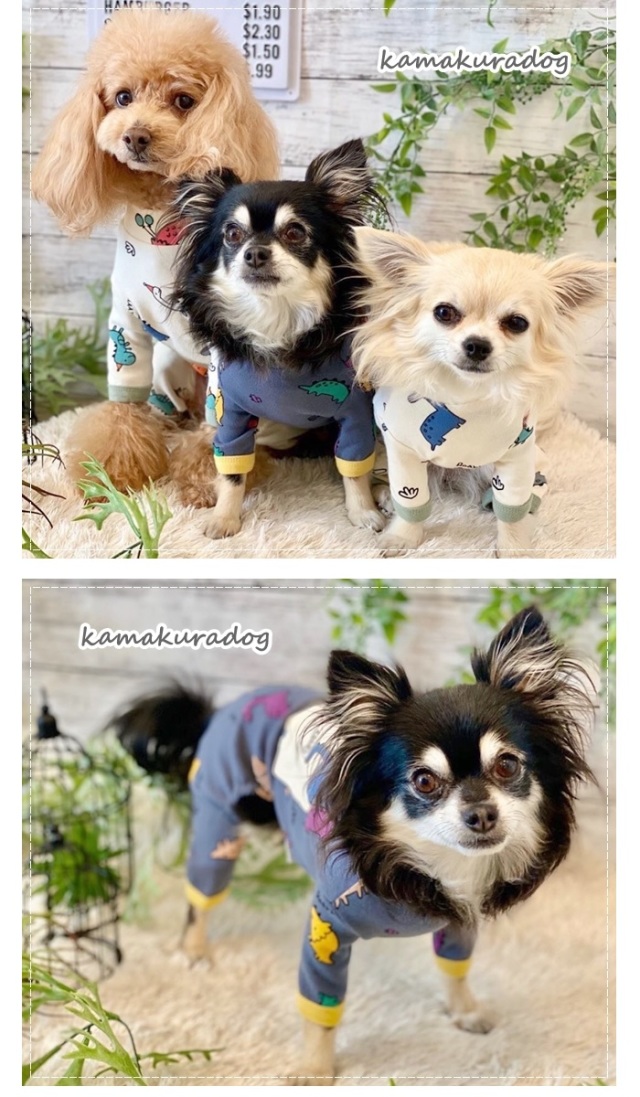可愛い小型犬の洋服通販 鎌倉ドッグ