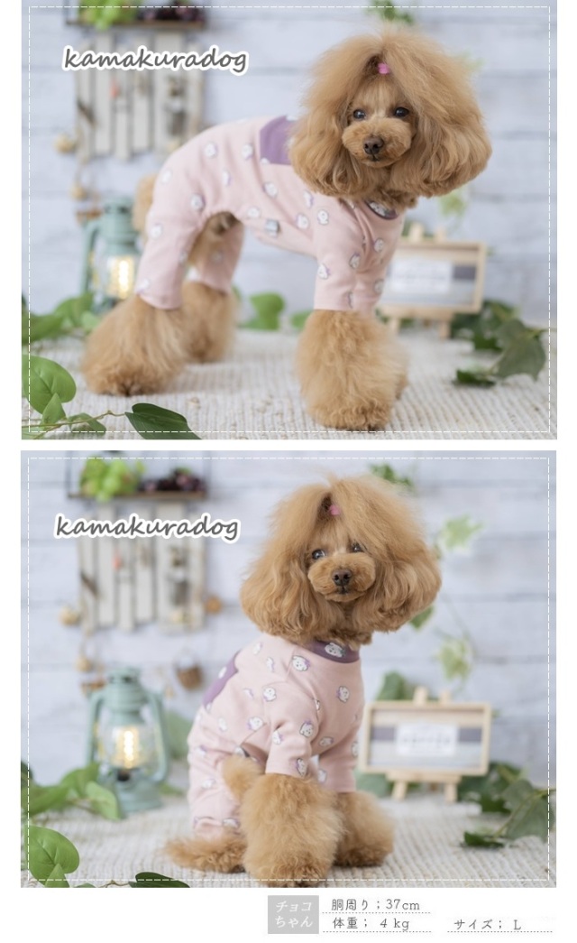 可愛い小型犬の洋服通販 鎌倉ドッグ