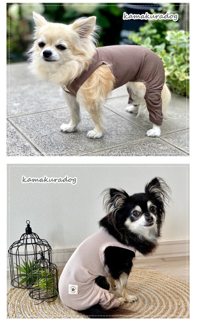 可愛い小型犬の洋服通販 鎌倉ドッグ UVケアメッシュつなぎ