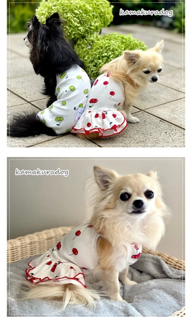 可愛い小型犬の洋服通販 鎌倉ドッグ さくらんぼキャミつなぎ