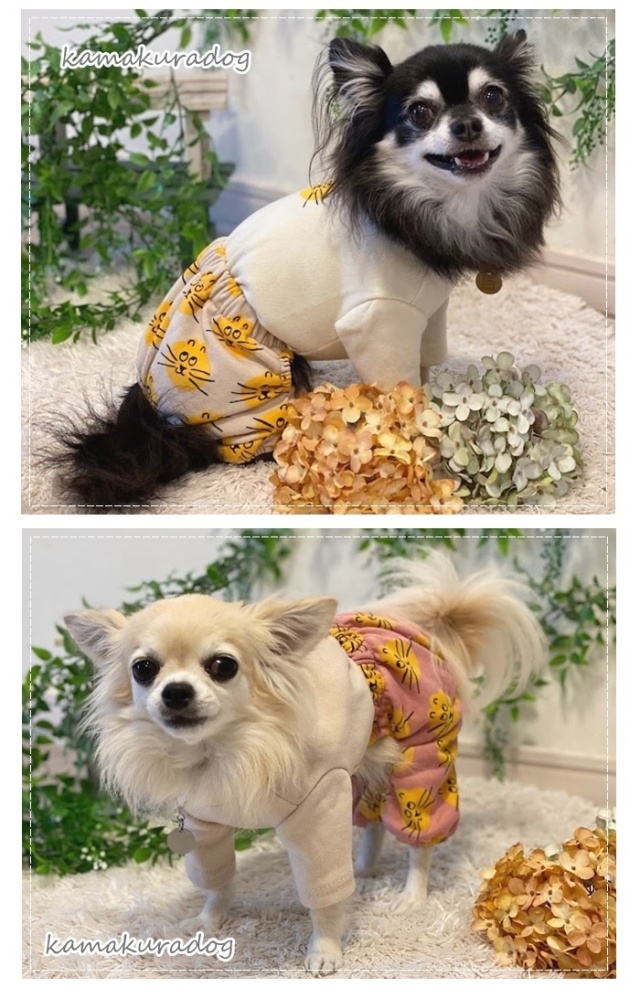 可愛い小型犬の洋服通販 鎌倉ドッグ ゆる猫ロンパース