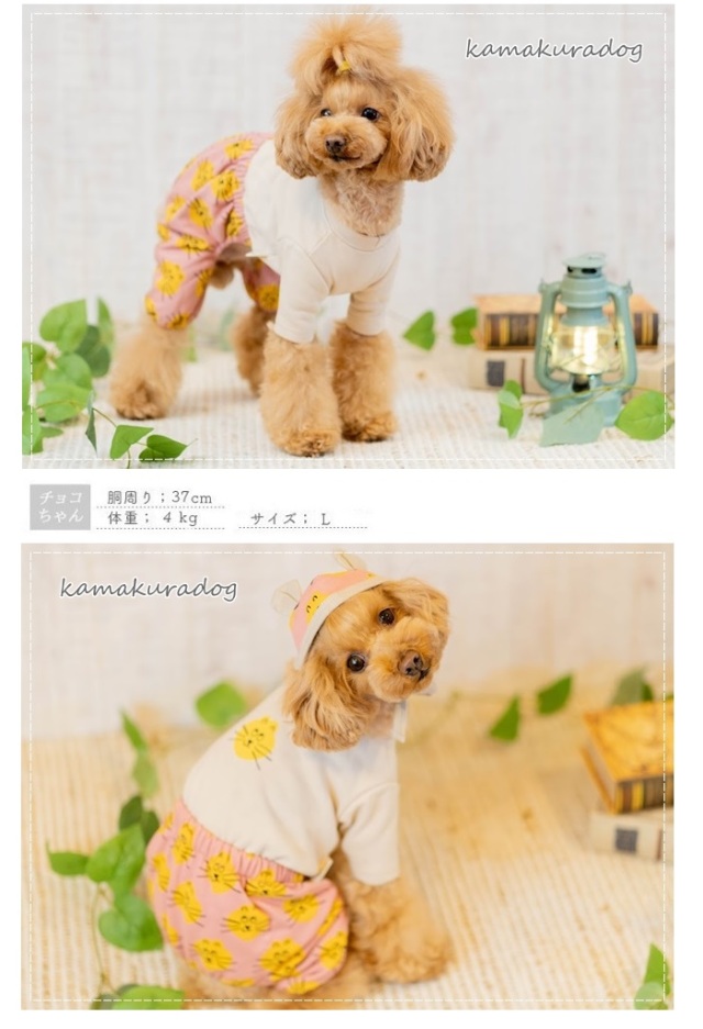 可愛い小型犬の洋服通販 鎌倉ドッグ ゆる猫ロンパース