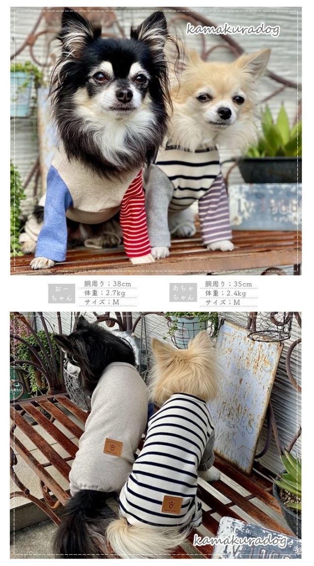 可愛い小型犬の洋服通販 鎌倉ドッグ カノンボーダーつなぎ