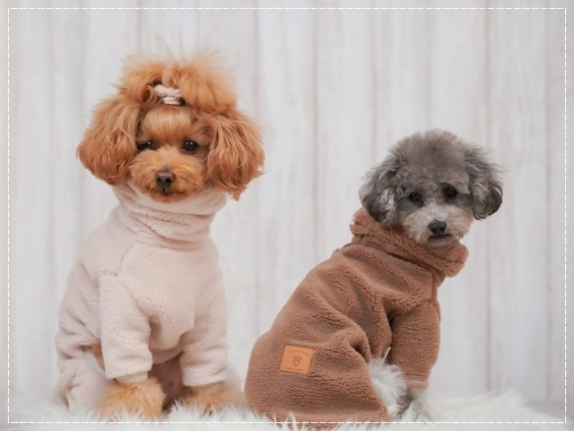 可愛い小型犬の洋服通販 鎌倉ドッグ ソフトボアつなぎ