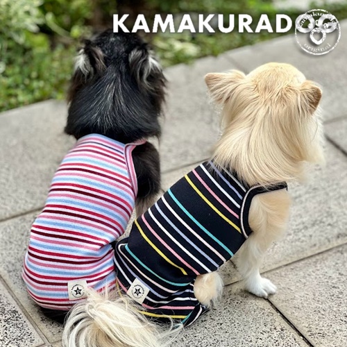 リフレッシュボーダーつなぎ